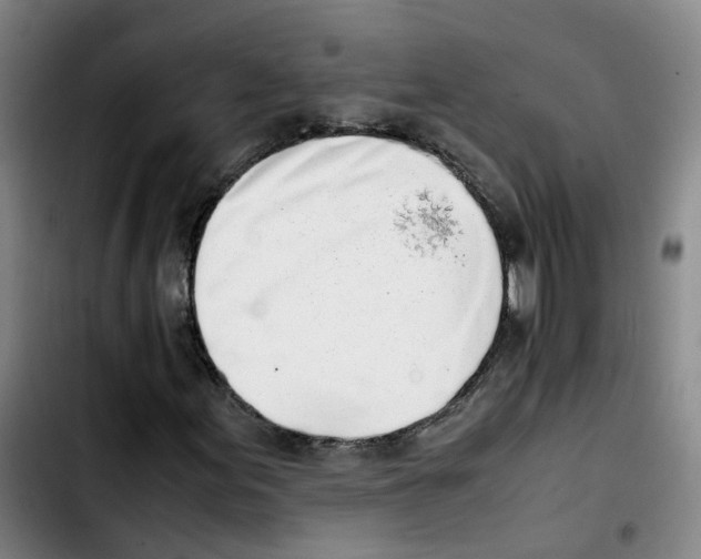 X0000103451155200810241138