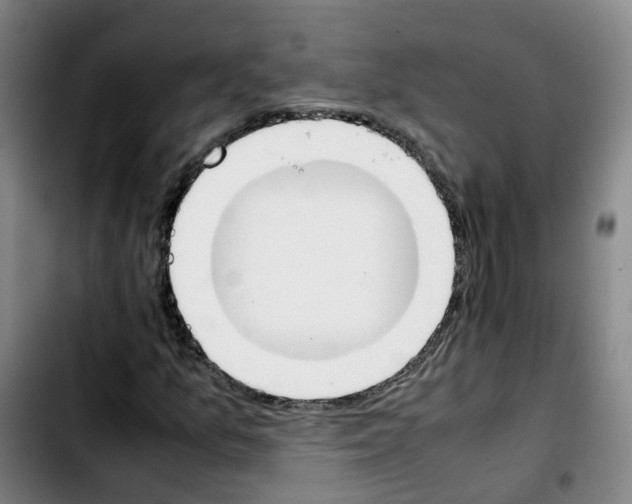 X0000103451157200810241138