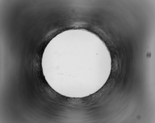 X0000103451158200810241138