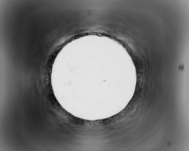 X0000103451159200810241138