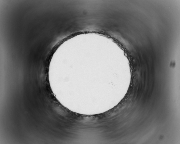 X0000103451160200810241138