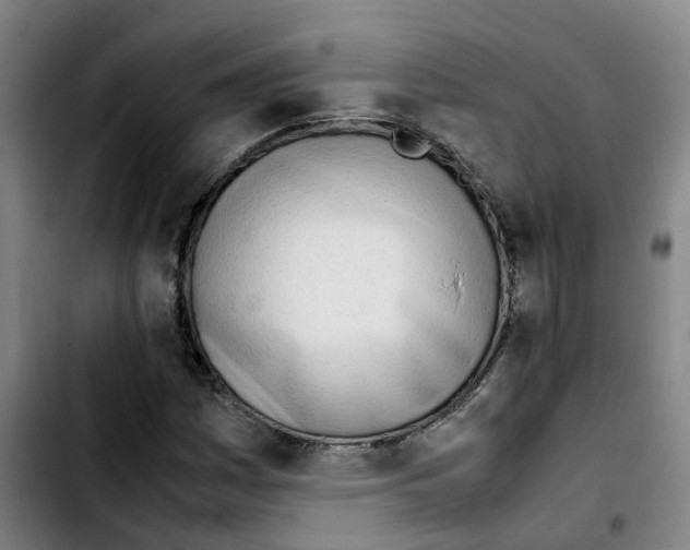 X0000103451161200810241138