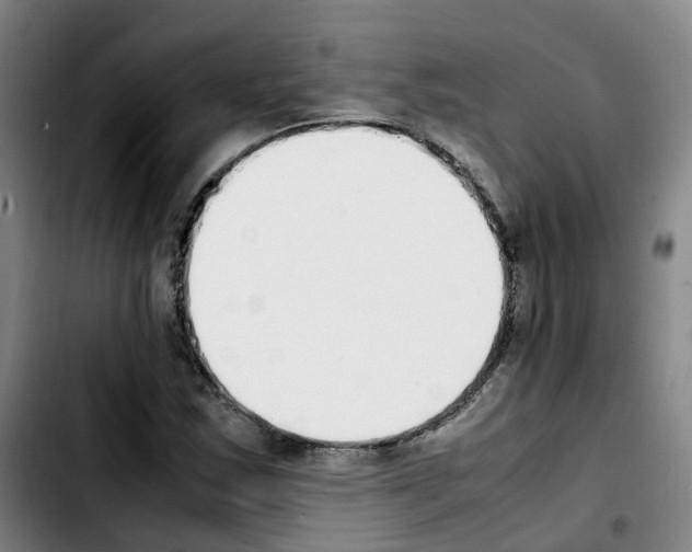 X0000103451163200810241138