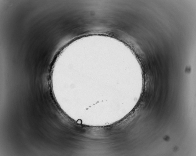 X0000103451164200810241138