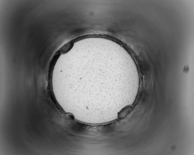 X0000103451165200810241138