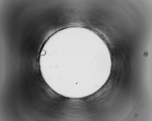 X0000103451168200810241138