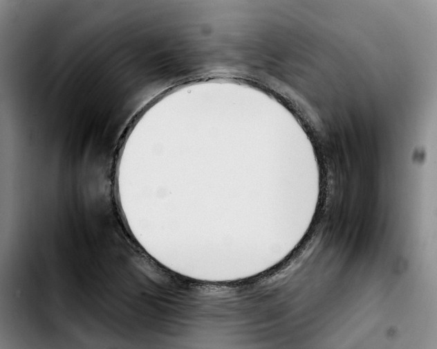 X0000103451170200810241138