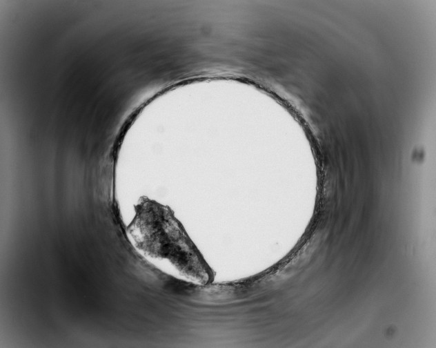 X0000103451171200810241138