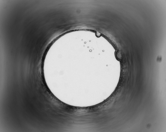 X0000103451173200810241138