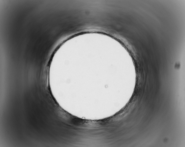 X0000103451175200810241138