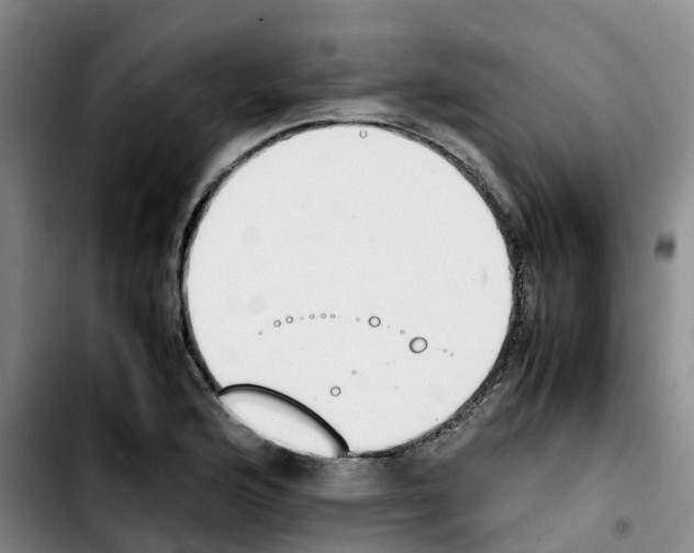 X0000103451176200810241138