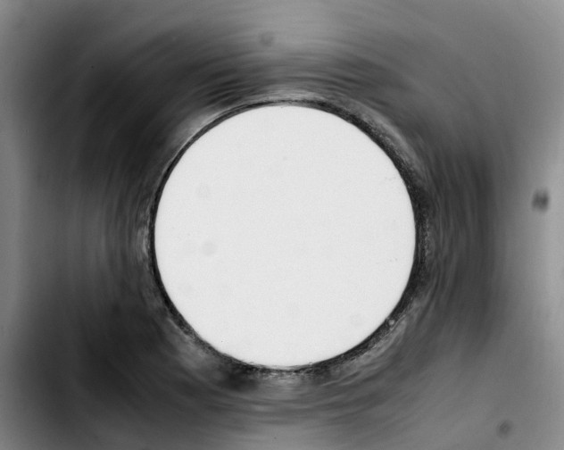 X0000103451177200810241138