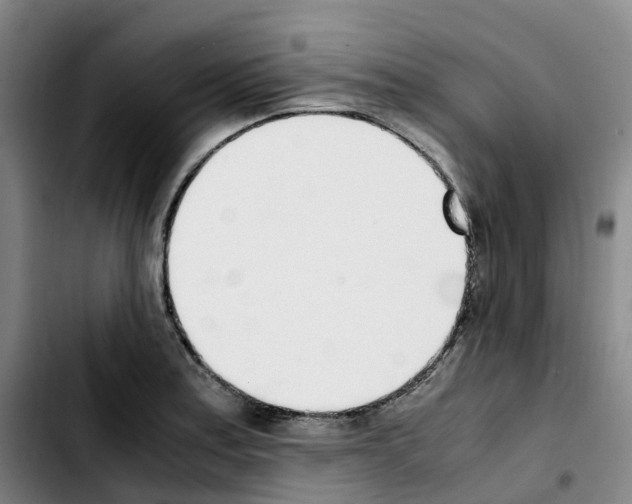 X0000103451179200810241138