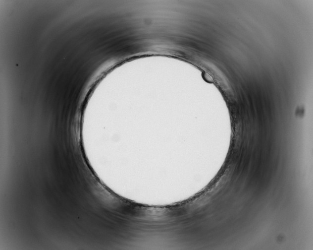 X0000103451180200810241138