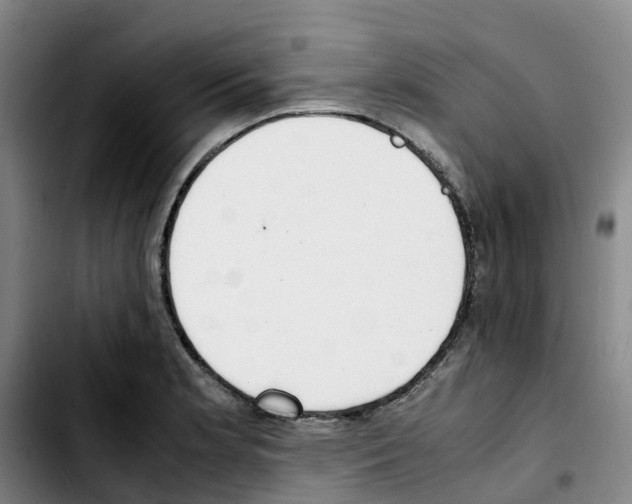 X0000103451181200810241138