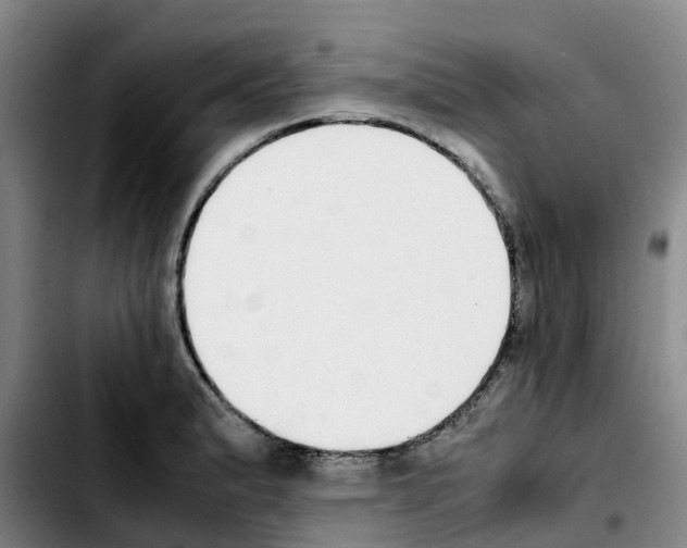 X0000103451183200810241138