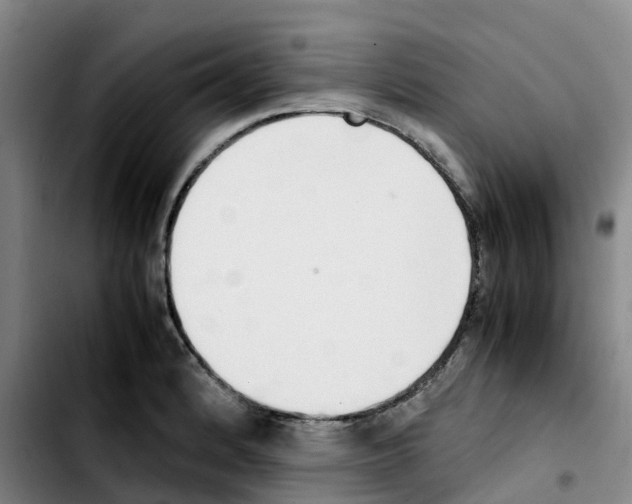 X0000103451184200810241138