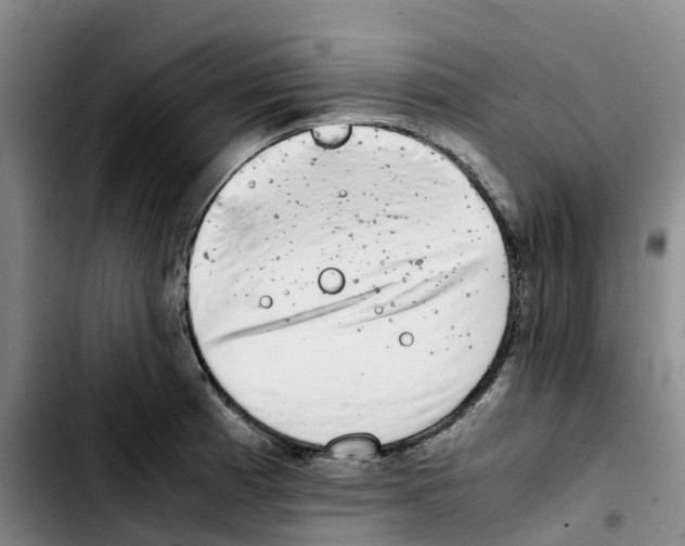 X0000103451185200810241138