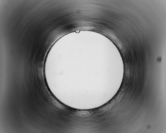 X0000103451186200810241138