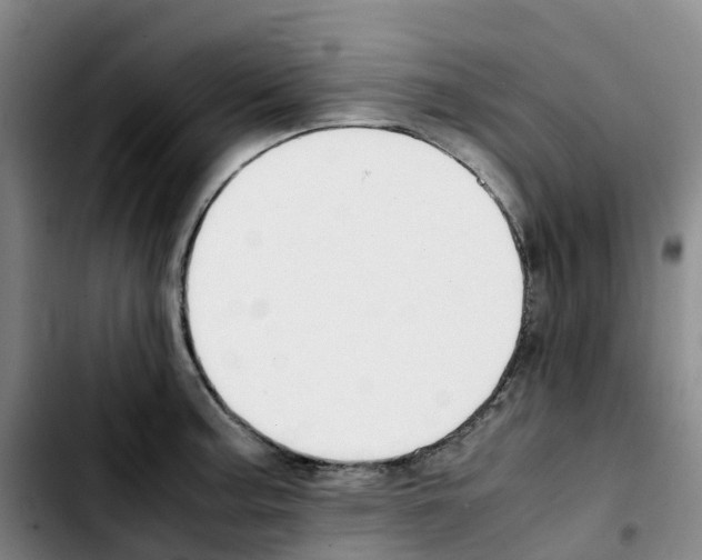 X0000103451187200810241138