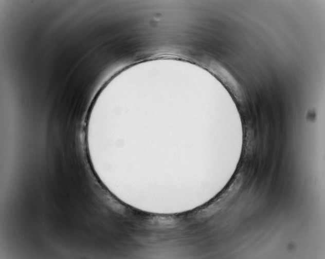 X0000103451190200810241138