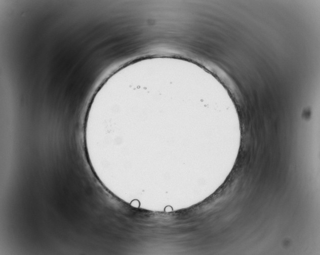 X0000103451191200810241138