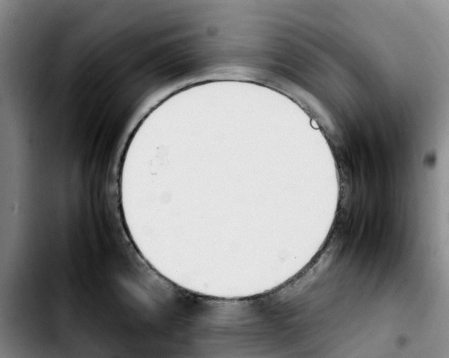 X0000103451192200810241138