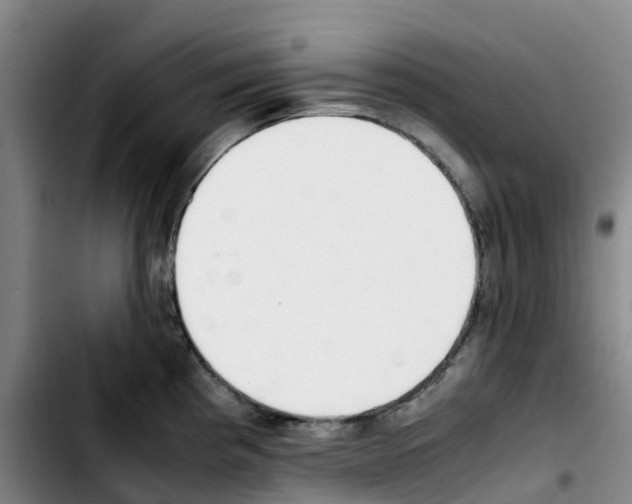 X0000103451193200810241138