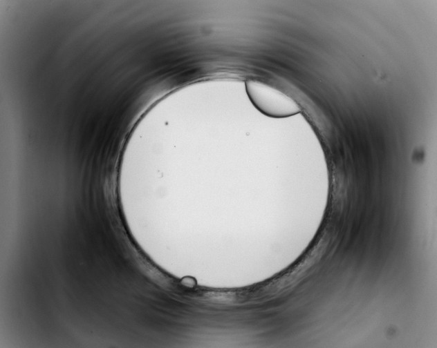 X0000103451194200810241138