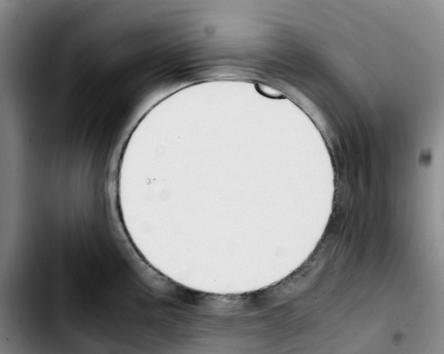 X0000103451195200810241138