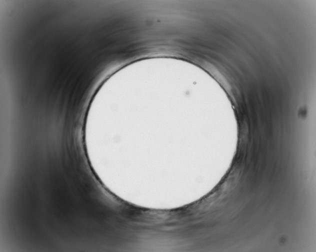 X0000103451197200810241138