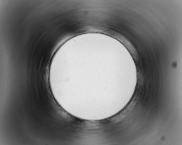 X0000103451198200810241138