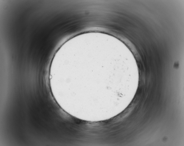 X0000103451199200810241138