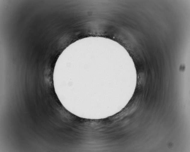 X0000103451202200810241137