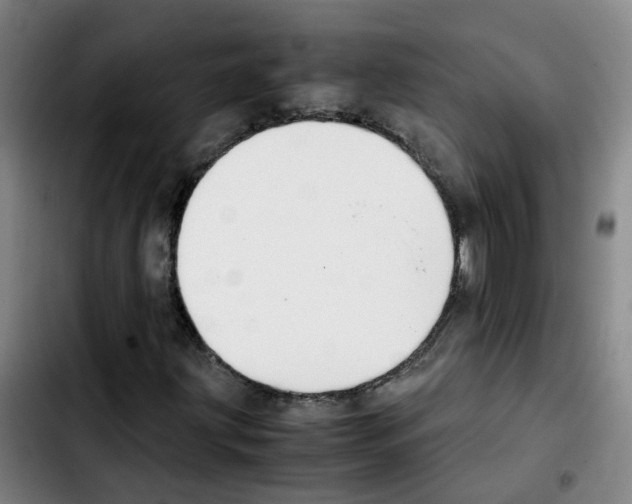 X0000103451203200810241137