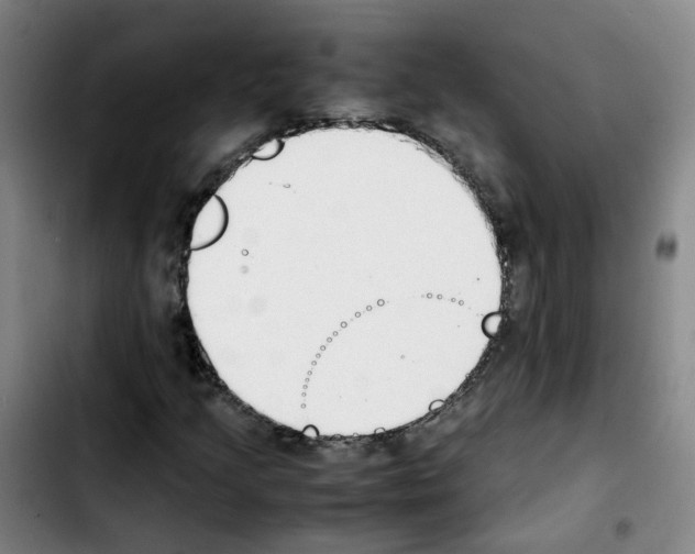 X0000103451205200810241137