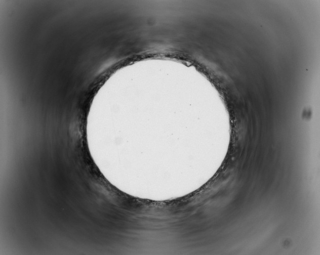 X0000103451206200810241137