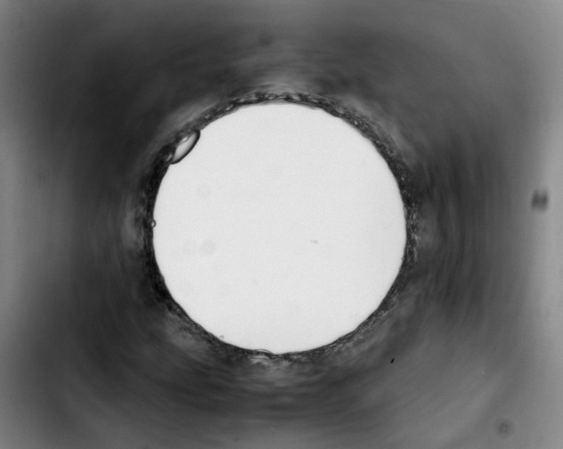 X0000103451207200810241137