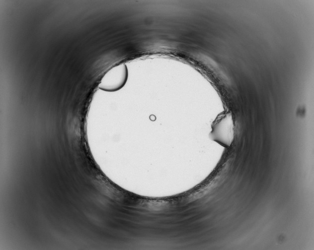 X0000103451209200810241137