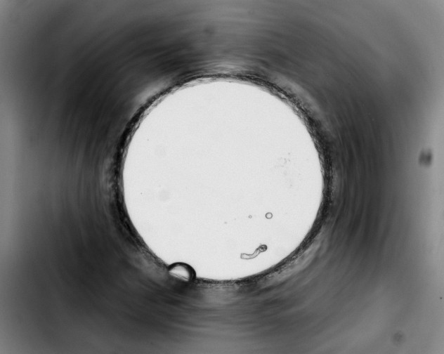 X0000103451210200810241137