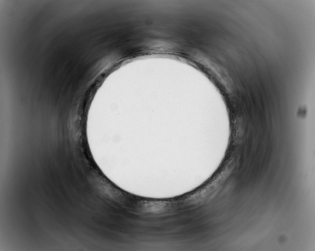 X0000103451211200810241137