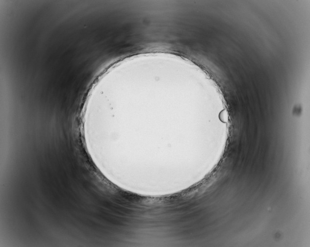 X0000103451212200810241137