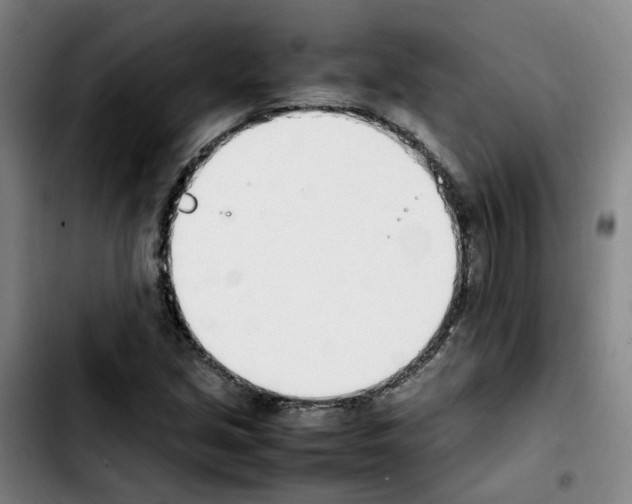 X0000103451213200810241137