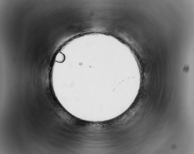 X0000103451214200810241137