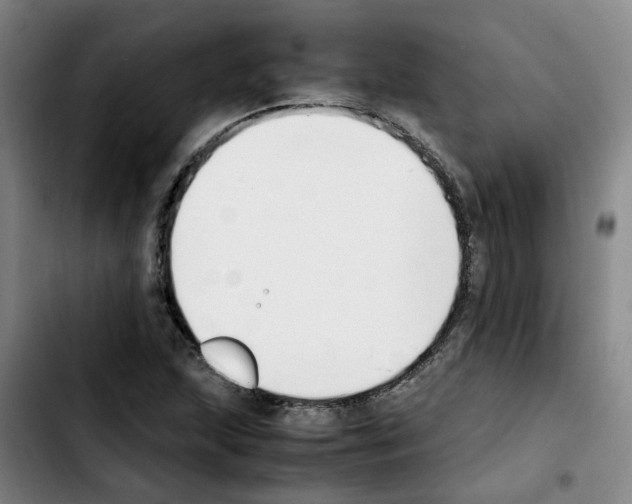 X0000103451215200810241137