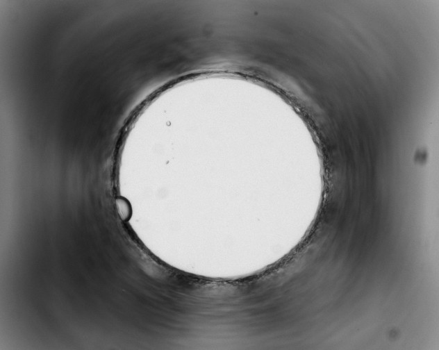 X0000103451216200810241137