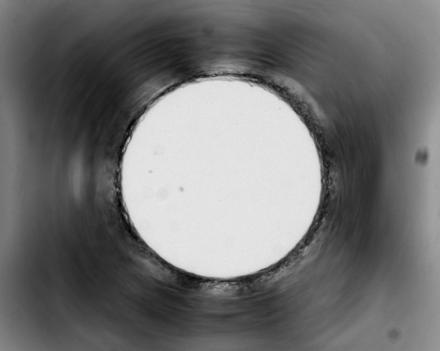 X0000103451217200810241137