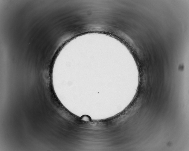 X0000103451218200810241137