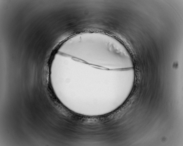 X0000103451219200810241137