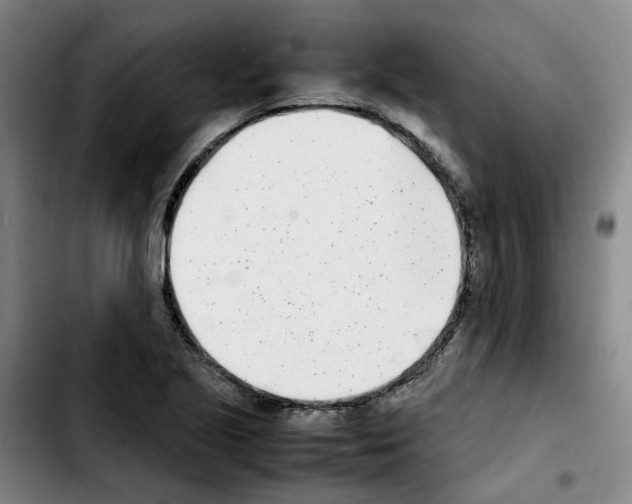 X0000103451221200810241137